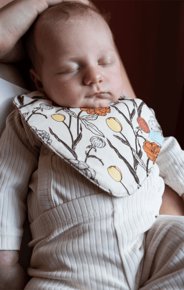 Siklemekke 2-pakning