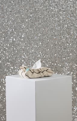 Housse pour lingette humide